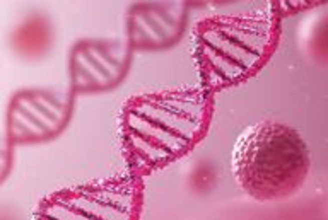 遺伝性腫瘍パネル検査（遺伝性のがんを血液で調べる検査、胎児の検査ではありません）